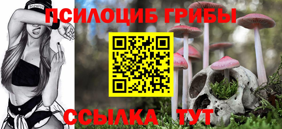 Галлюциногенные грибы MAGIC MUSHROOMS Видное