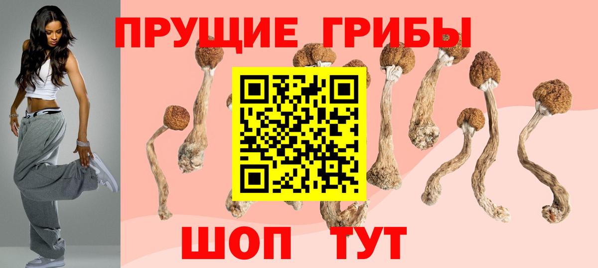 Галлюциногенные грибы мухоморы  Галлюциногенные грибы GOLDEN TEACHER  продажа наркотиков  Вход с VPN  Видное 