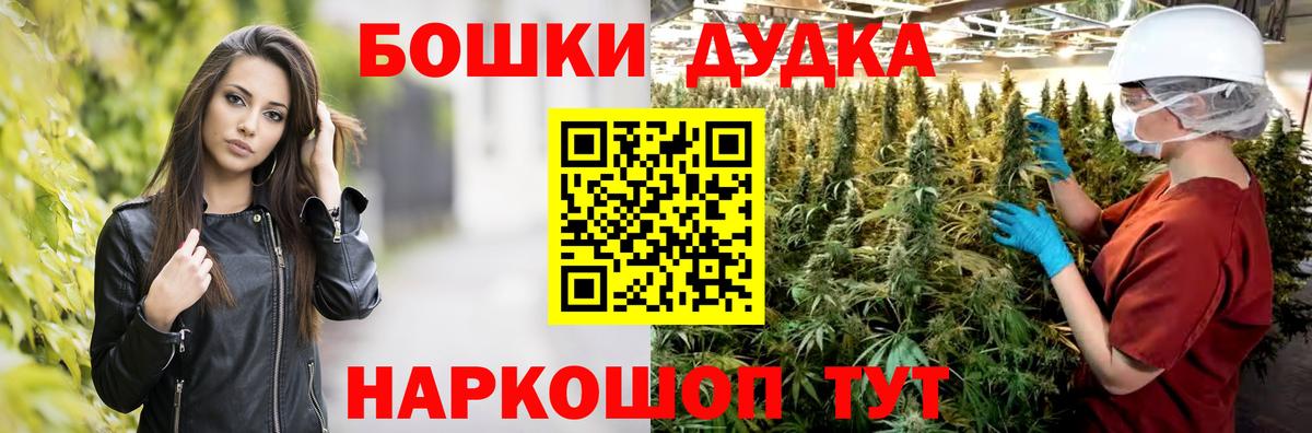 Бошки Шишки план Видное